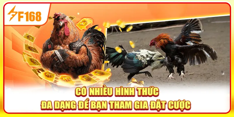 Có nhiều hình thức đa dạng để bạn tham gia đặt cược