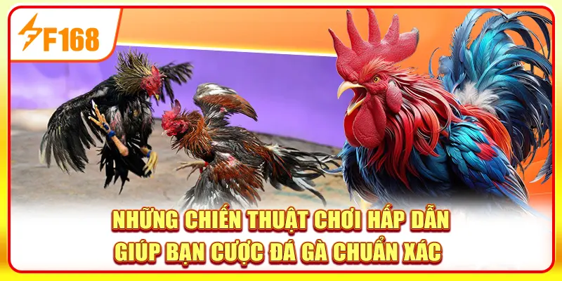 Những chiến thuật chơi hấp dẫn giúp bạn cược Đá gà chuẩn xác